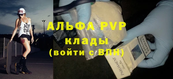 ПСИЛОЦИБИНОВЫЕ ГРИБЫ Осинники