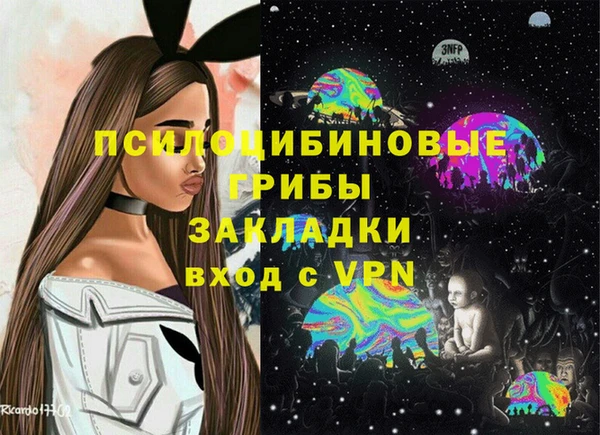 соль ск Осташков