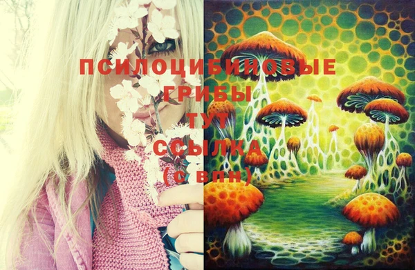 COCAINE Нязепетровск