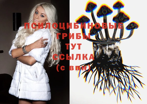 ПСИЛОЦИБИНОВЫЕ ГРИБЫ Осинники
