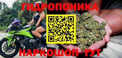 трава Комсомольск-на-Амуре