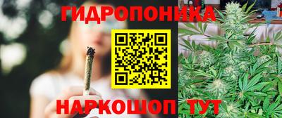 винт Будённовск