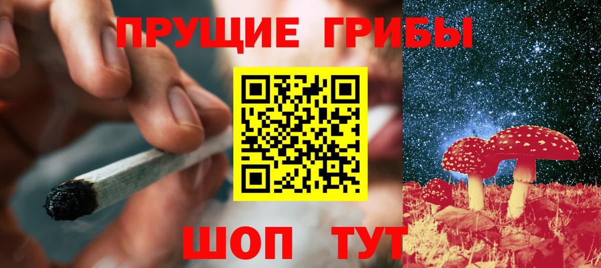 Галлюциногенные грибы Psilocybine cubensis Ревда