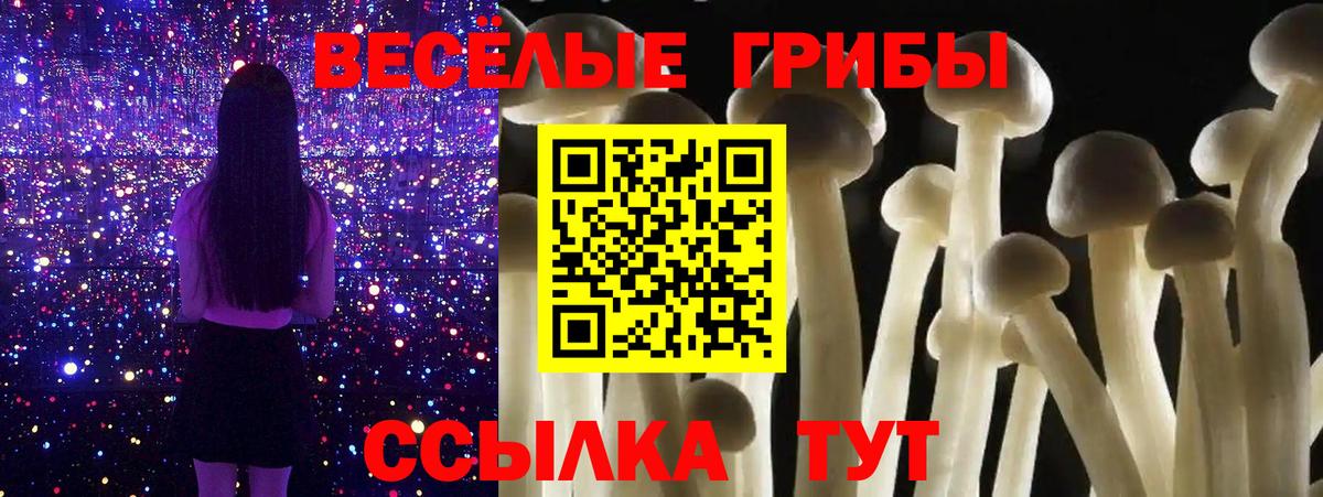 Псилоцибиновые грибы Cubensis Ревда
