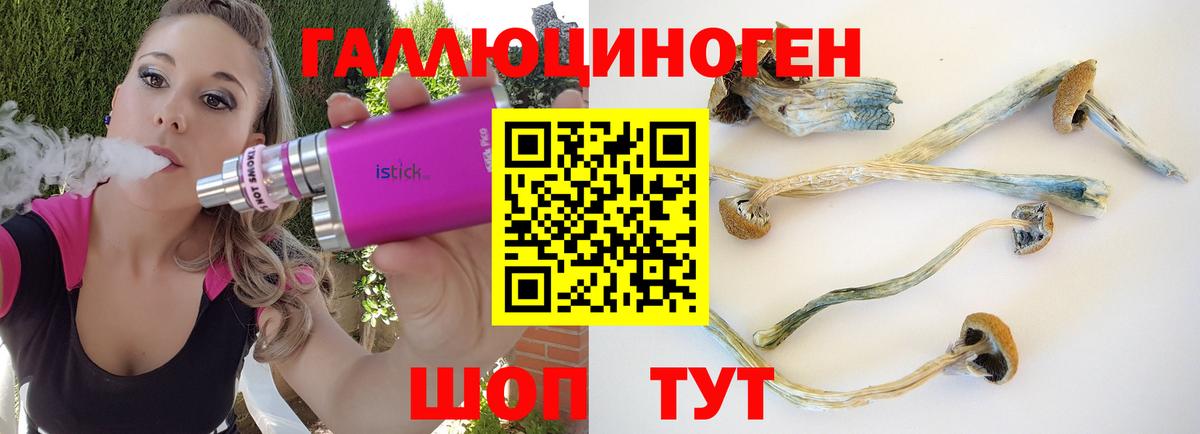 продажа наркотиков  Галлюциногенные грибы Cubensis  Ревда  Псилоцибиновые грибы MAGIC MUSHROOMS 